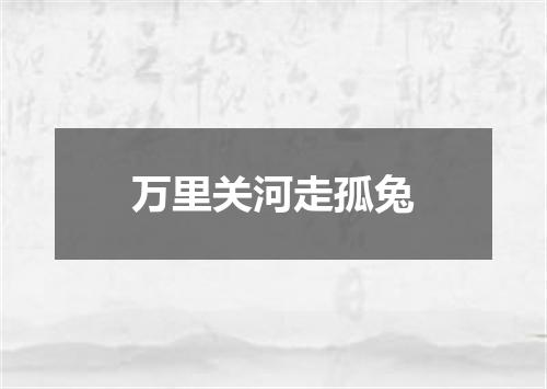 万里关河走孤兔