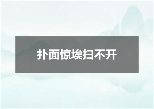 扑面惊埃扫不开