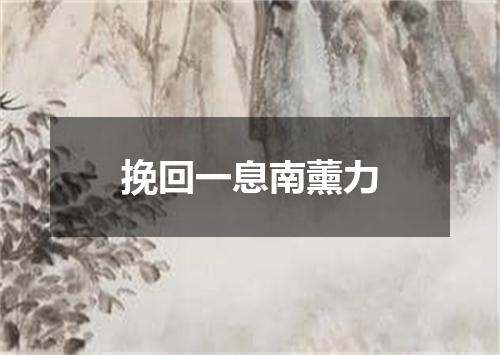 挽回一息南薰力