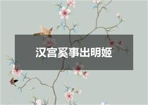 汉宫奚事出明姬