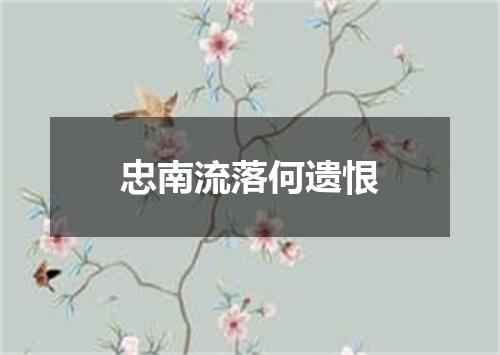 忠南流落何遗恨