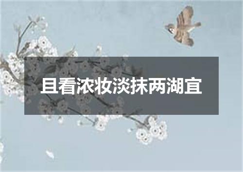 且看浓妆淡抹两湖宜