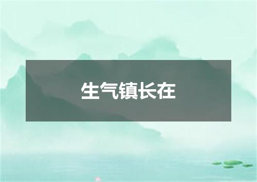 生气镇长在