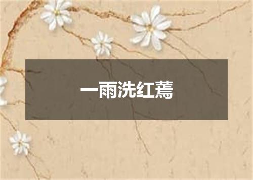 一雨洗红蔫