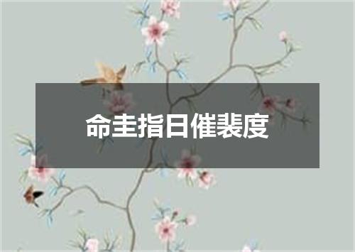 命圭指日催裴度