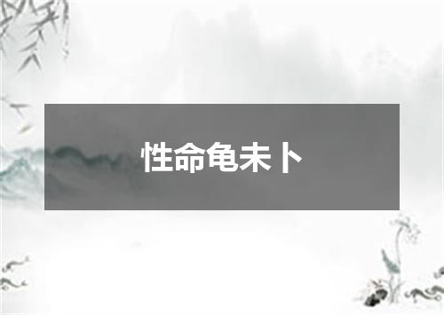 性命龟未卜