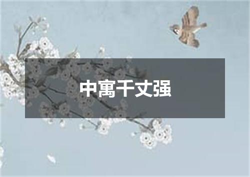 中寓千丈强