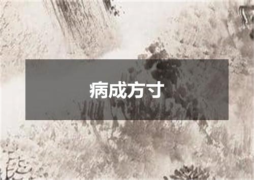 病成方寸