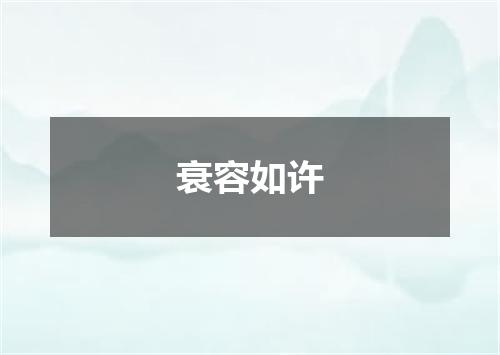 衰容如许
