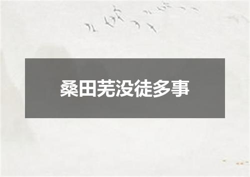 桑田芜没徒多事