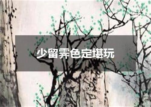 少留霁色定堪玩