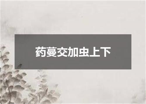 药蔓交加虫上下