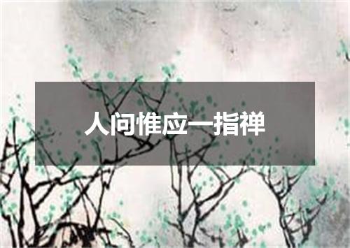 人问惟应一指禅