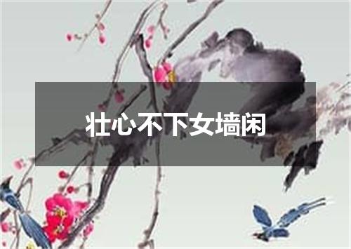 壮心不下女墙闲