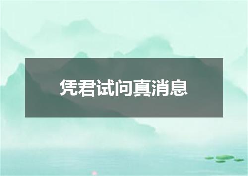 凭君试问真消息