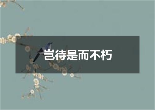 岂待是而不朽