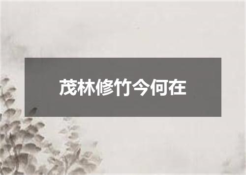 茂林修竹今何在
