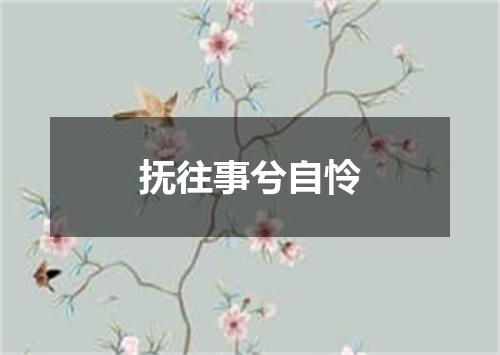 抚往事兮自怜
