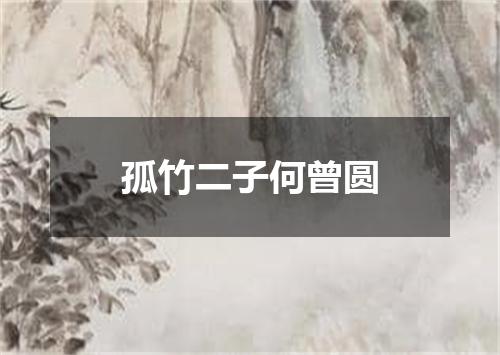 孤竹二子何曾圆