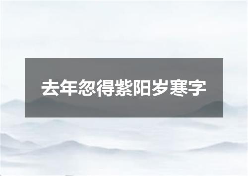 去年忽得紫阳岁寒字