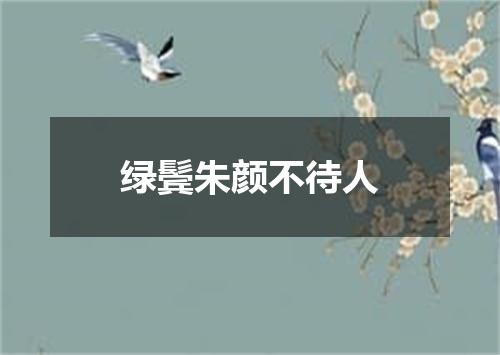 绿鬓朱颜不待人