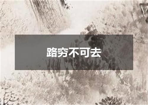 路穷不可去