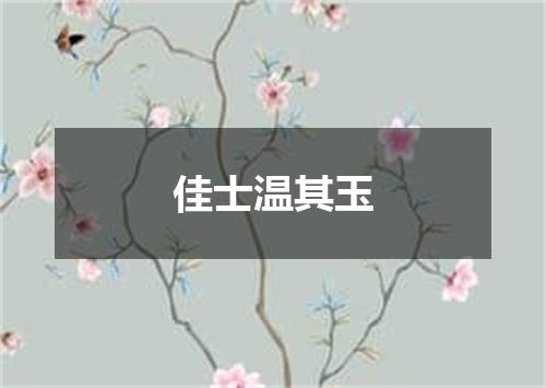 佳士温其玉