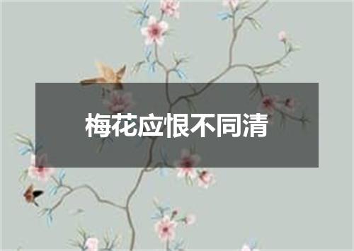 梅花应恨不同清