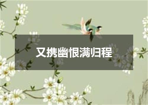 又携幽恨满归程