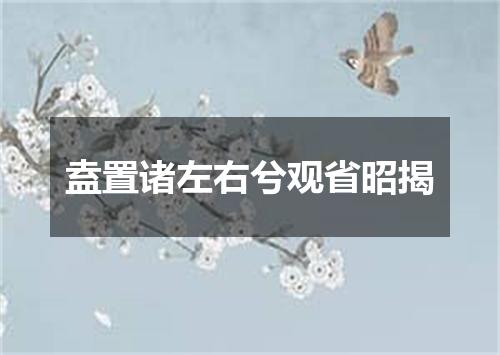 盍置诸左右兮观省昭揭