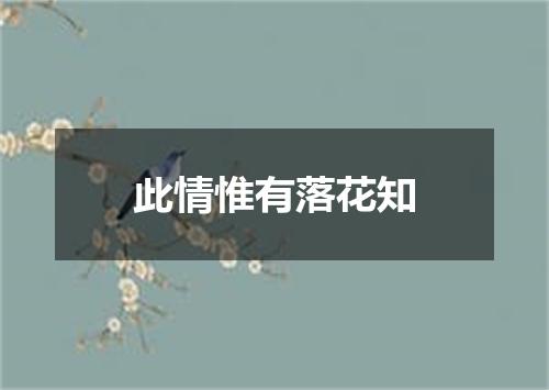 此情惟有落花知