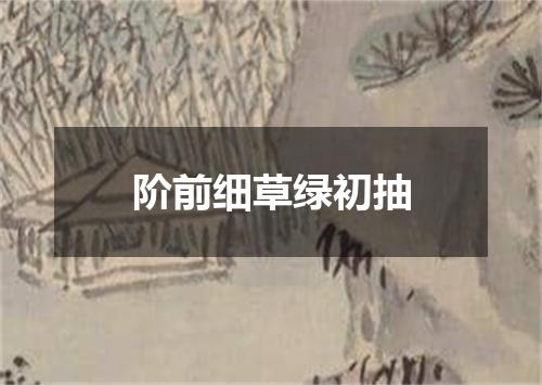 阶前细草绿初抽