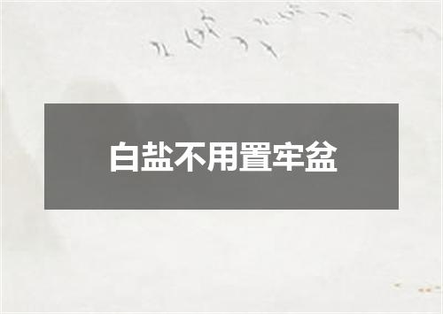 白盐不用置牢盆