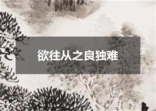 欲往从之良独难
