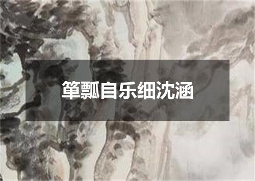 箪瓢自乐细沈涵