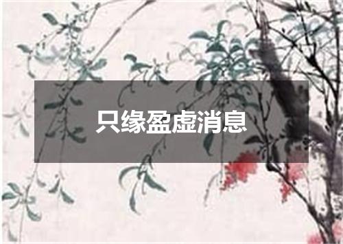 只缘盈虚消息