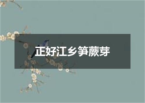 正好江乡笋蕨芽