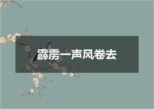 霹雳一声风卷去