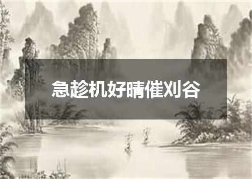 急趁机好晴催刈谷