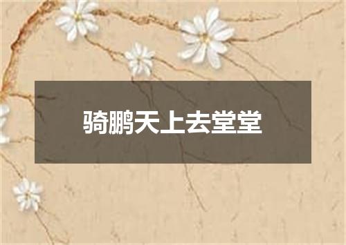 骑鹏天上去堂堂