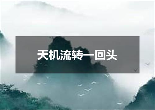 天机流转一回头
