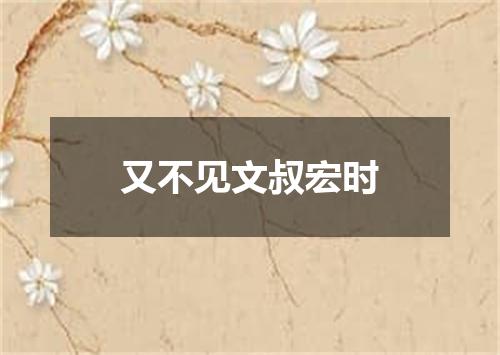 又不见文叔宏时