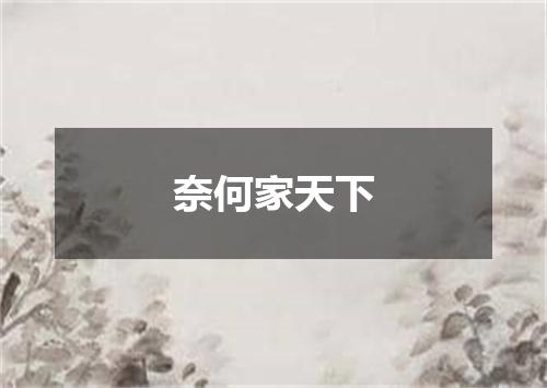 奈何家天下