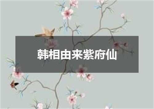 韩相由来紫府仙