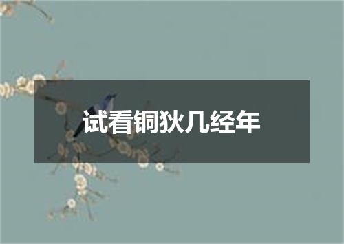 试看铜狄几经年