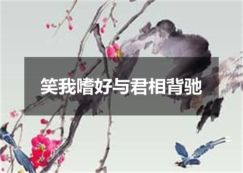 笑我嗜好与君相背驰