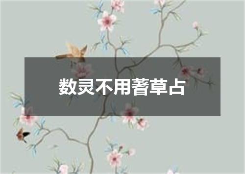 数灵不用蓍草占