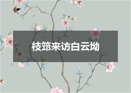 枝筇来访白云坳