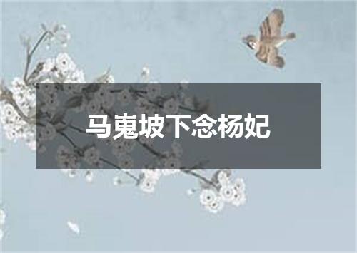马嵬坡下念杨妃