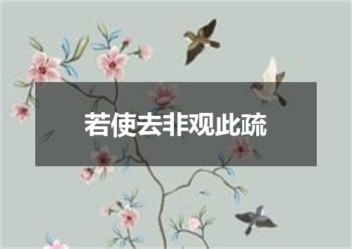 若使去非观此疏